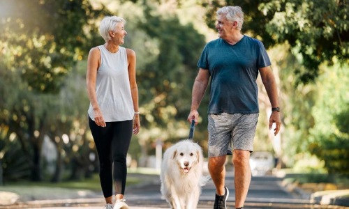 a man and a woman walking a dog on a leash in a park